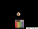 L_V23d1176 J1q351.1 Ux03 dM bd f38.jpg L_V23d1176 J1q351.1 Ux03 dM bd f38